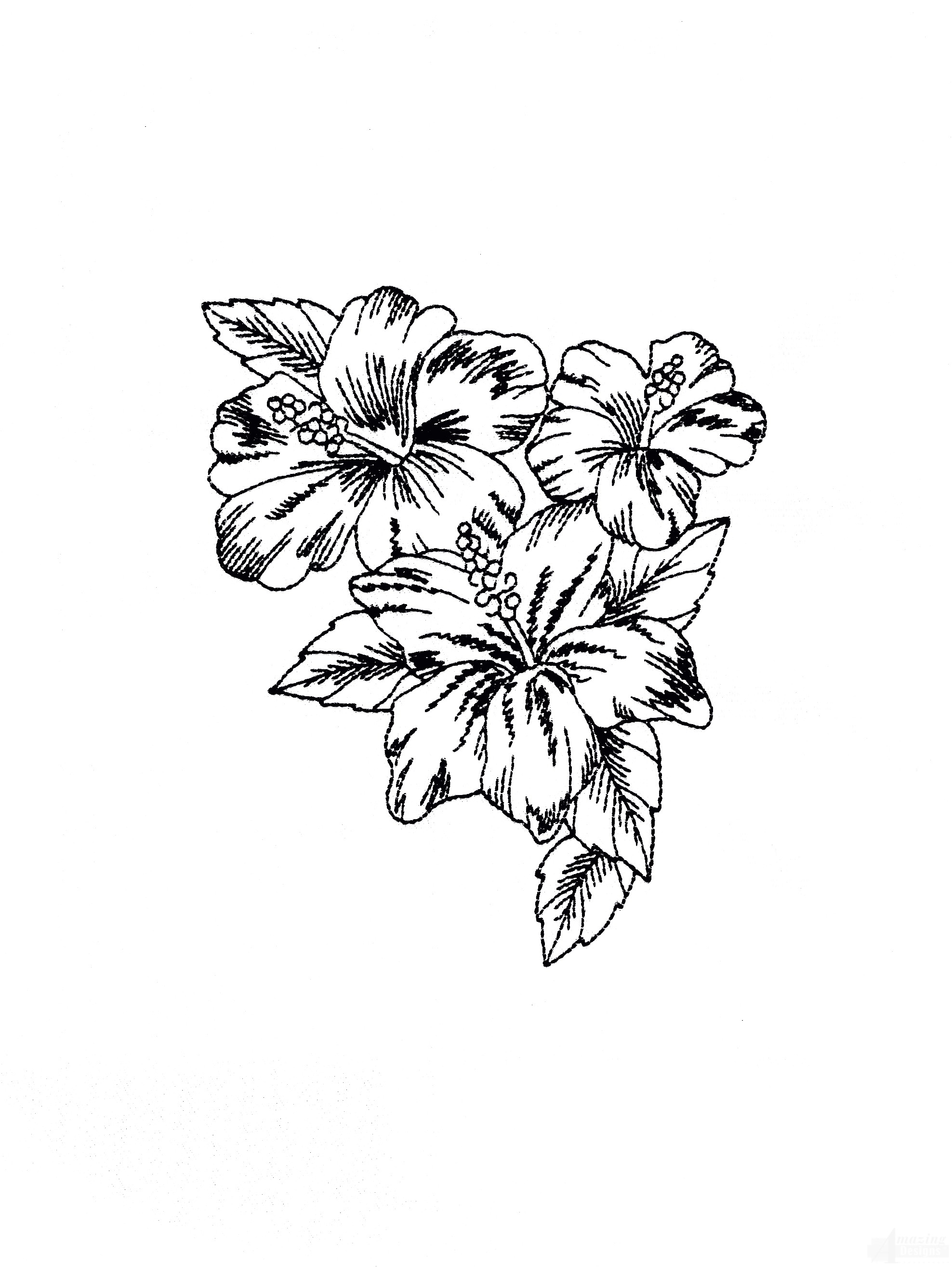 1976x2628 Tropical Floral Sketch Embroidery Design