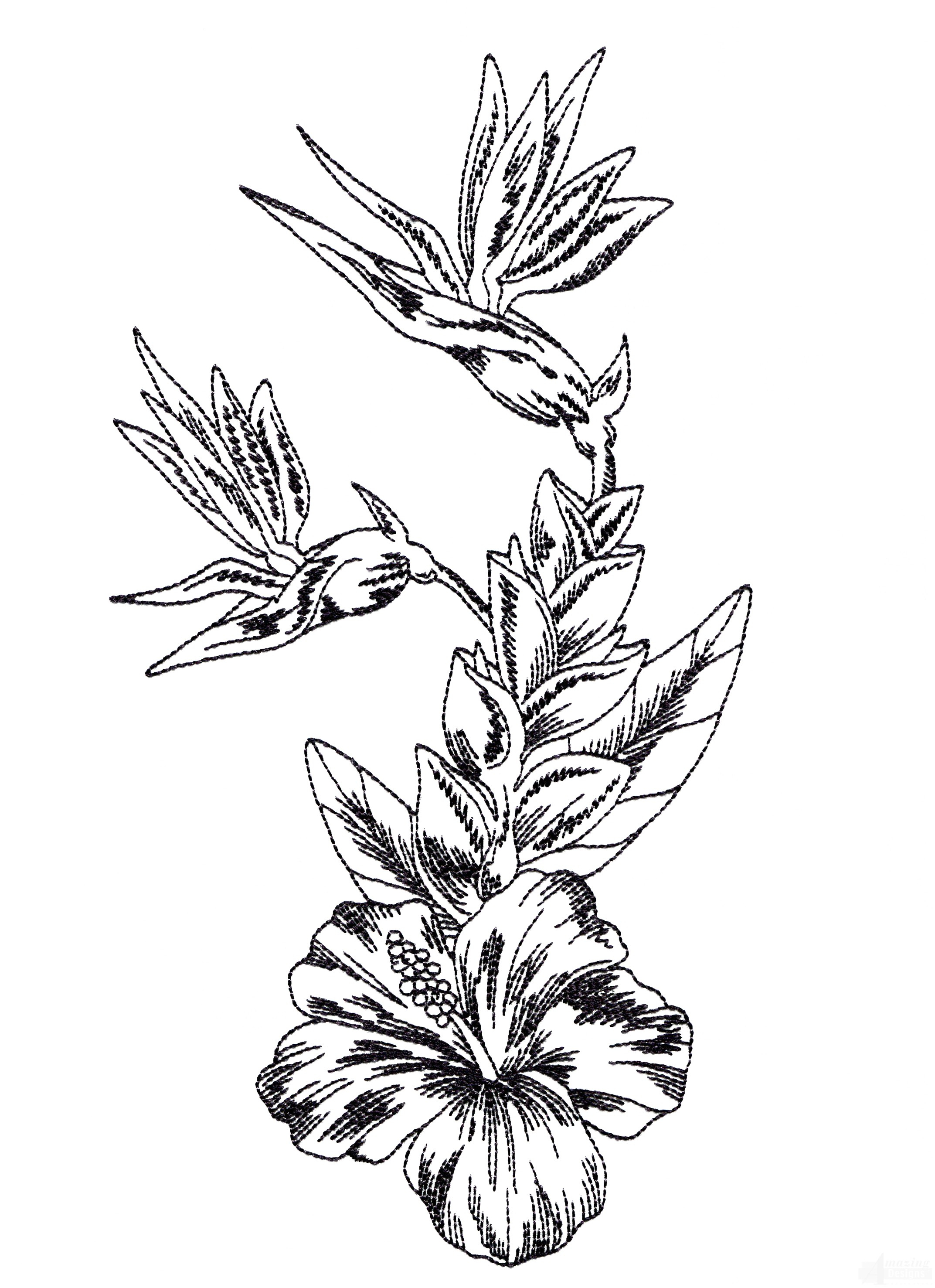 2145x2954 Tropical Flower Drawing