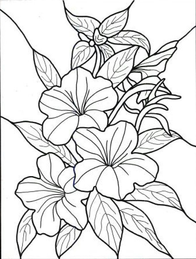 682x900 Tropical Flowers Stained Glass Tropical Flowers