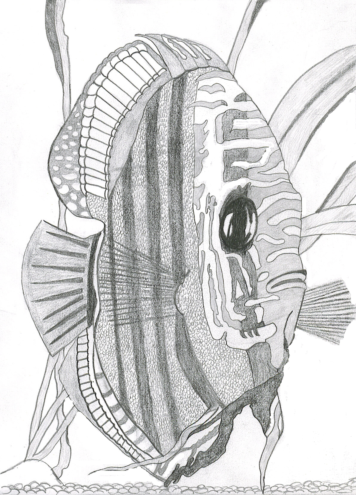 1192x1656 Tropical Fish Drawing
