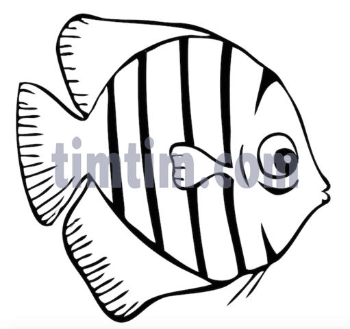 511x480 Free Drawing Of A Tiger Fish Bw From The Category Fish