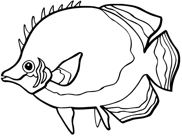 600x450 Beevault Decals