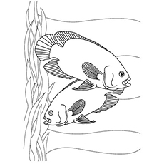 230x230 Top 10 Free Printable Tropical Fish Coloring Pages Online