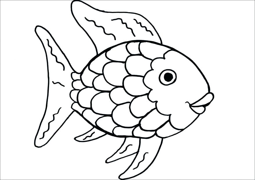 878x621 Tropical Fish Coloring Pages