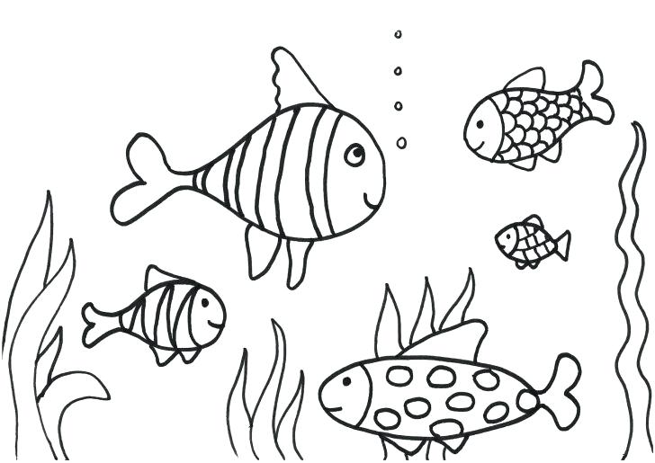 728x515 Tropical Fish Coloring Pages Coloring Pages Printable Fish