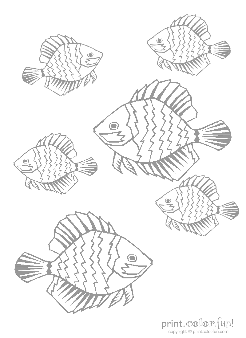 800x1100 Tropical Fish Coloring Page