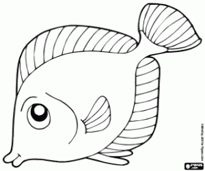 300x250 Tropical Fish Coloring Page Printable Game