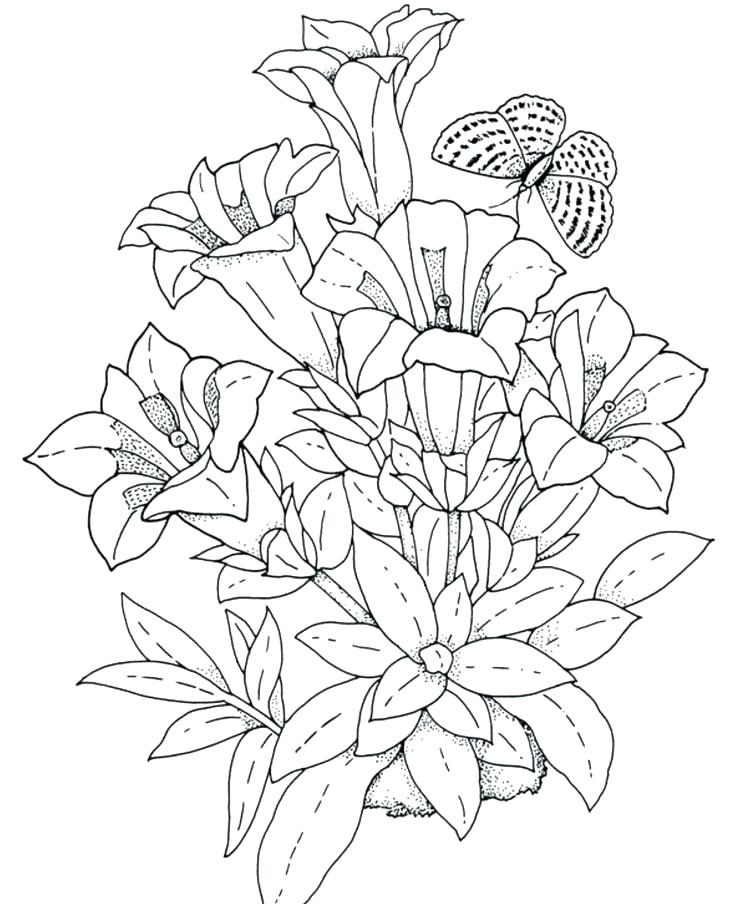 736x904 Good Flower Coloring Pages Printable For Bouquet Of Flowers