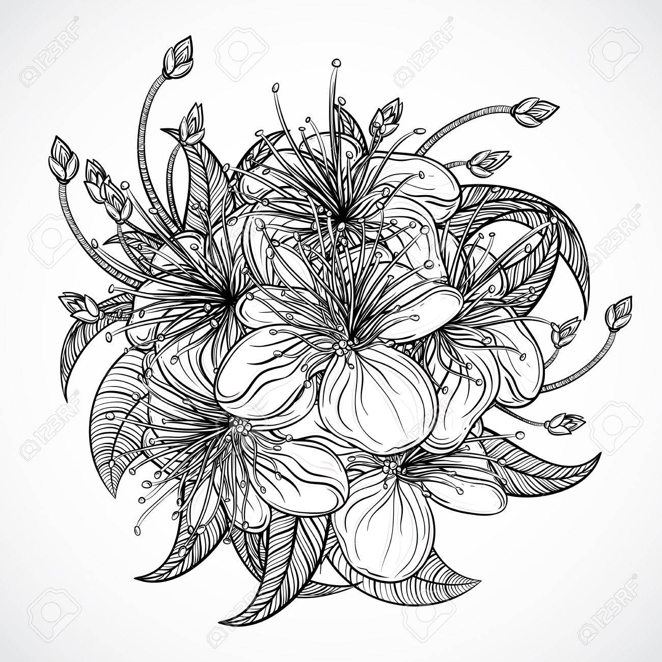 1300x1300 Bouquet Of Exotic Flowers.black White Tropical Flowers