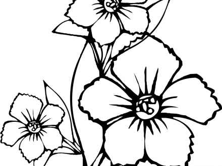 440x330 Exotic Tropical Flowers Drawing, Tropical Plant Drawings