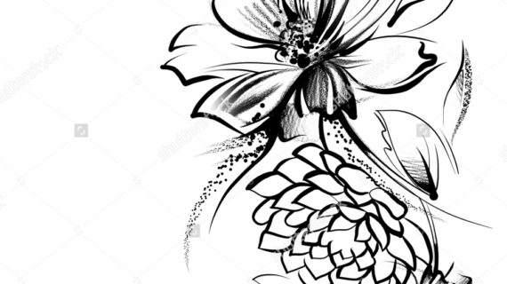570x320 Floral Pencil Drawings Hand Drawn Tropical Flowers And Plants