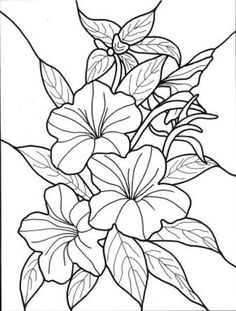236x311 Flower Coloring Page Coloring Pages Flower