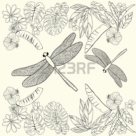 450x450 Hand Drawn Tropical Flowers, Leaves And Dragonflies. Coloring