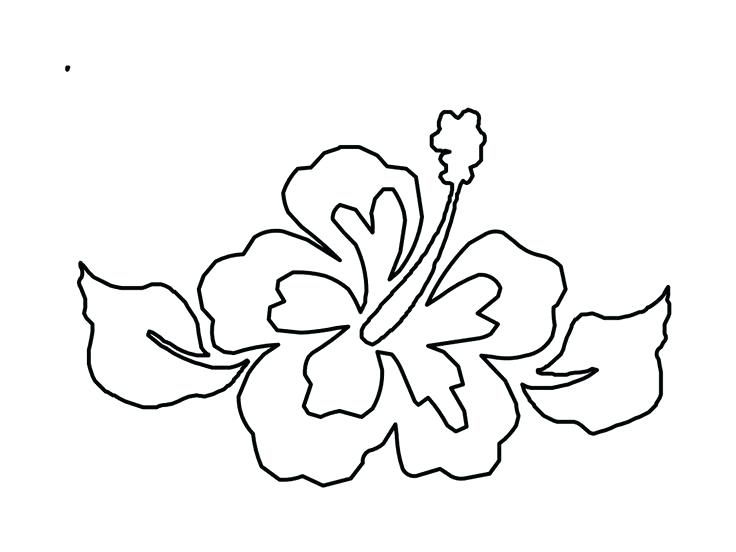 736x552 Hawaiian Flowers Coloring Pages Flower From Coloring Pages Flower