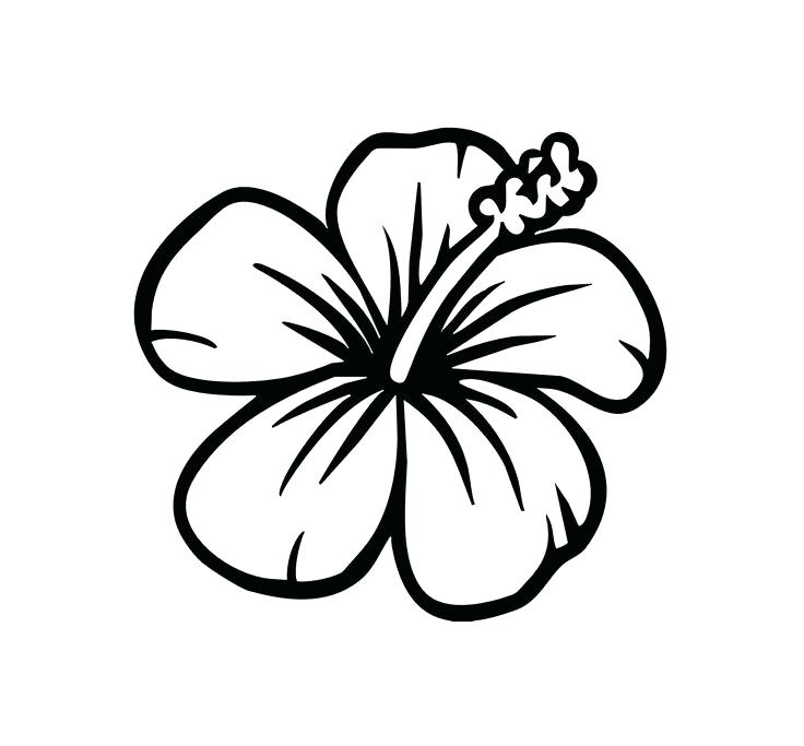 736x683 Hawaiian Flowers Coloring Pages Hibiscus Flower Coloring Pages