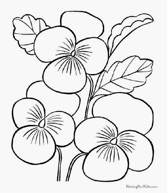 582x672 Tropical Rainforest Flowers Coloring Pages Coloring Page For Kids