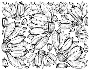 300x233 Tropical Island Drawings