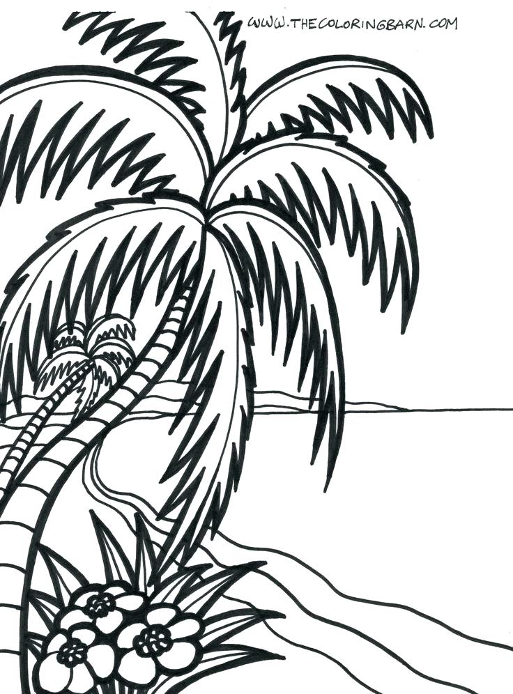 736x996 Tropical Coloring Pages