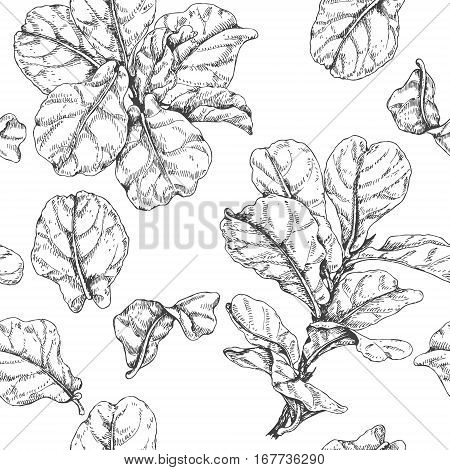 450x470 Hand Drawn Branches Leaves Vector Amp Photo Bigstock