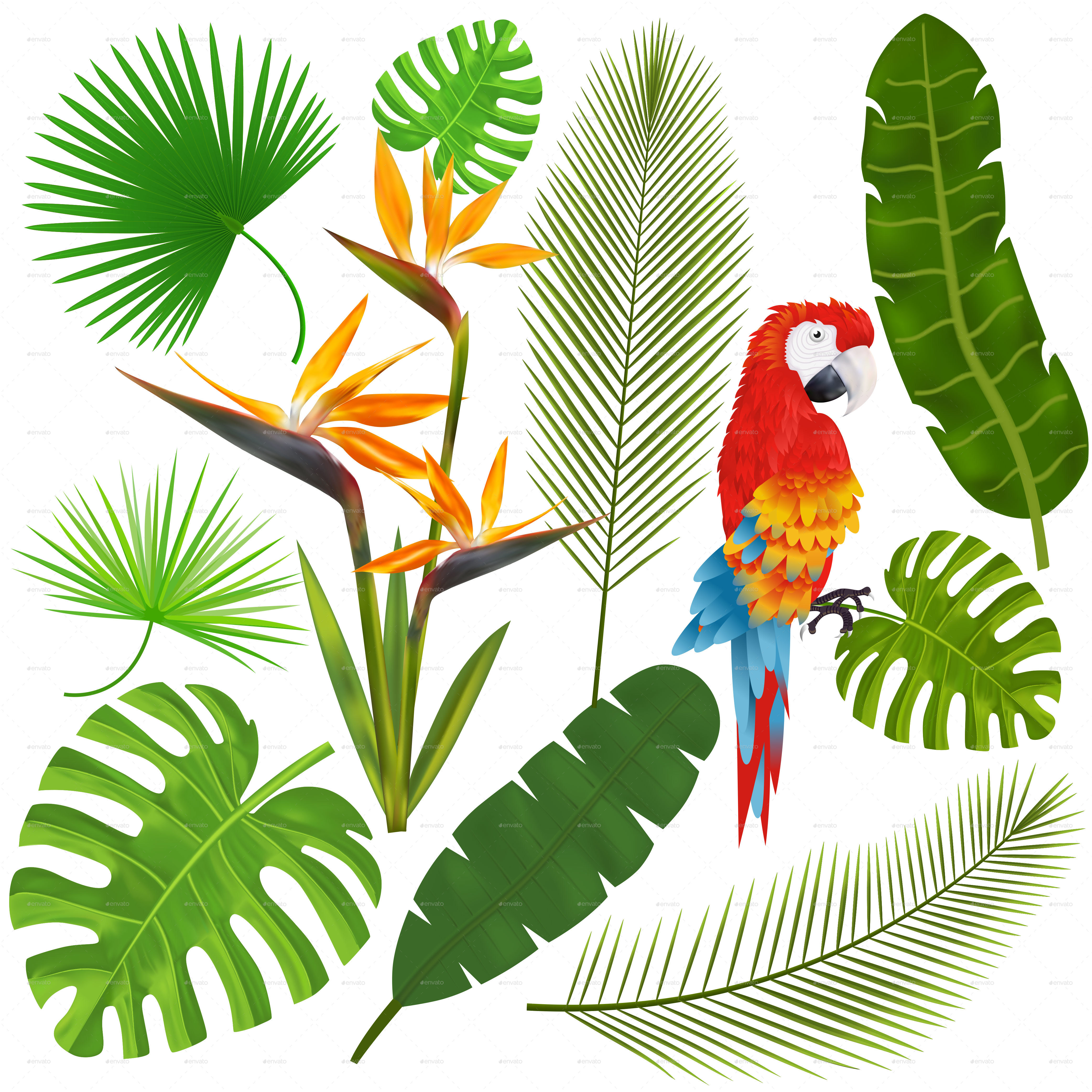 4167x4167 Tropical Leaves, Flowers And Macaw Vector By Yayasya Graphicriver
