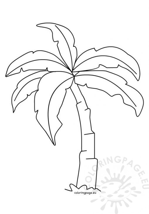 508x726 Palm Tree Leaf Template