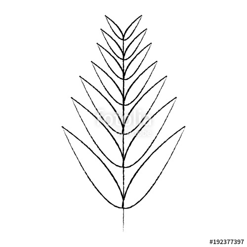 500x500 Tropical Leaf Green Spring Season Eco Nature Vector Illustration