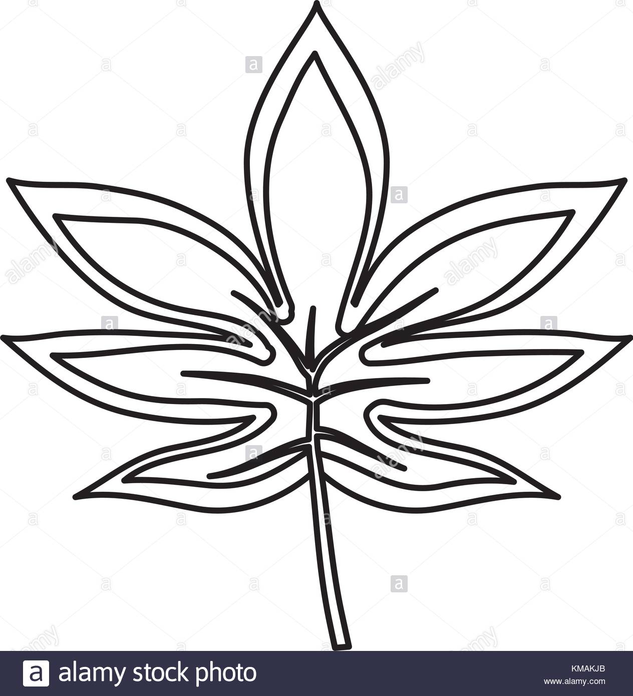 1264x1390 Tropical Leaves Design Stock Vector Art Amp Illustration, Vector