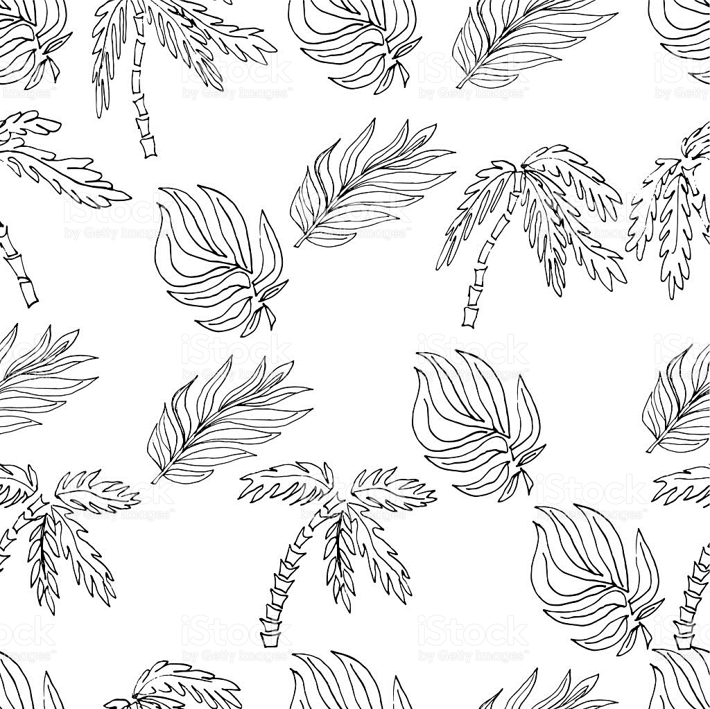 1024x1023 Drawn Leaf Plant