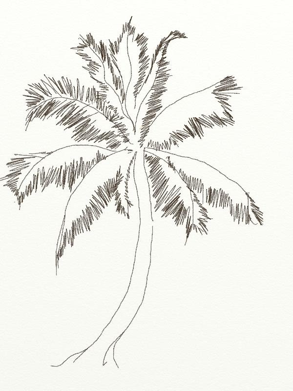 600x800 Drawn Palm Tree Pencil Drawing