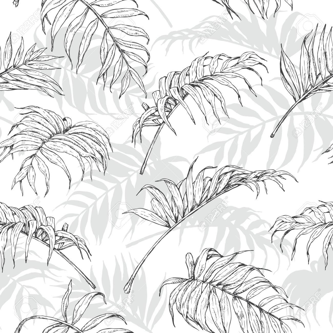 1300x1300 Hand Drawn Branches And Leaves Of Tropical Plants. Monochrome