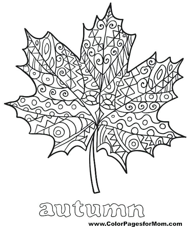 640x771 Leaf Coloring Pages Printable Palm Leaves Shapes Kids Drawing