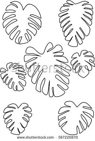 319x470 Outline Drawing Monstera Leaves. Tropical Plant. Abstrakt