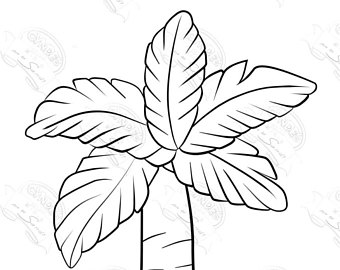 340x270 Palm Etsy