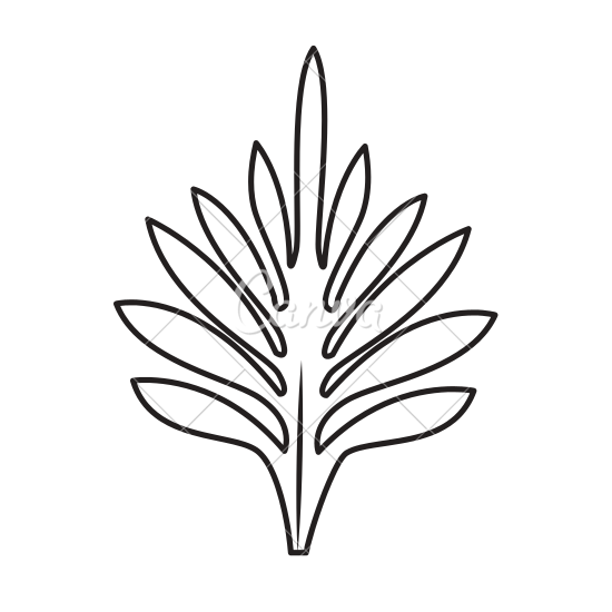 550x550 Tropical Leaves