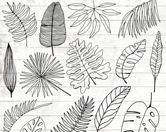 340x270 Tropical Leaf Logo Etsy