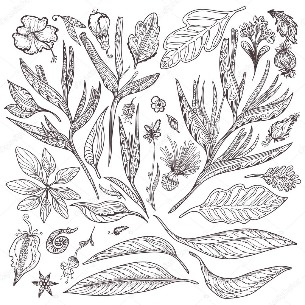 1024x1024 Vector Tropical Plants Set Stock Vector Kisika1