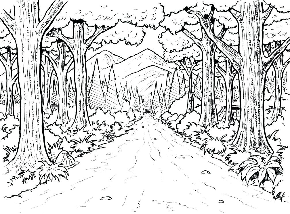 1008x744 Forest Coloring Pages Printable Free Coloring Pages Free Coloring