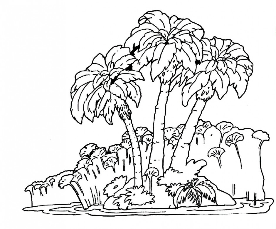 Coloring Sheets Of The Tropical Rainforest 2