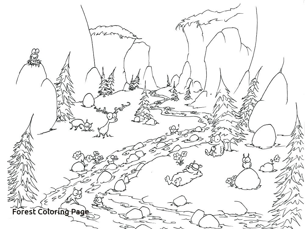 1000x753 Forest Coloring Pages Printable