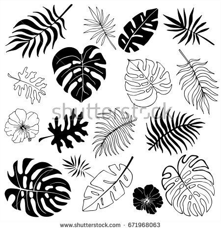 Tropical Tree Drawing