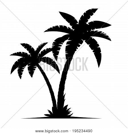 450x470 Coconut Tree Images, Illustrations, Vectors
