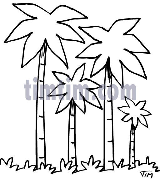 512x572 Free Drawing Of 4 Palm Trees Bw From The Category Climate