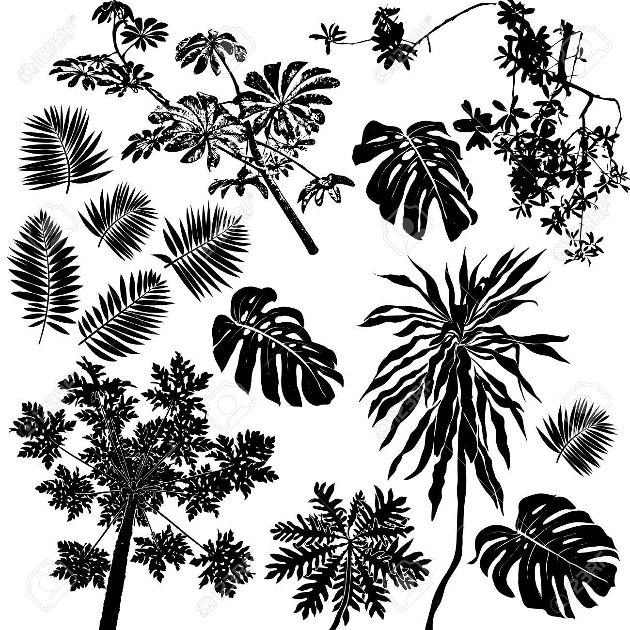 1300x1300 Tropical Flowers And Plants Set Royalty Free Cliparts, Vectors