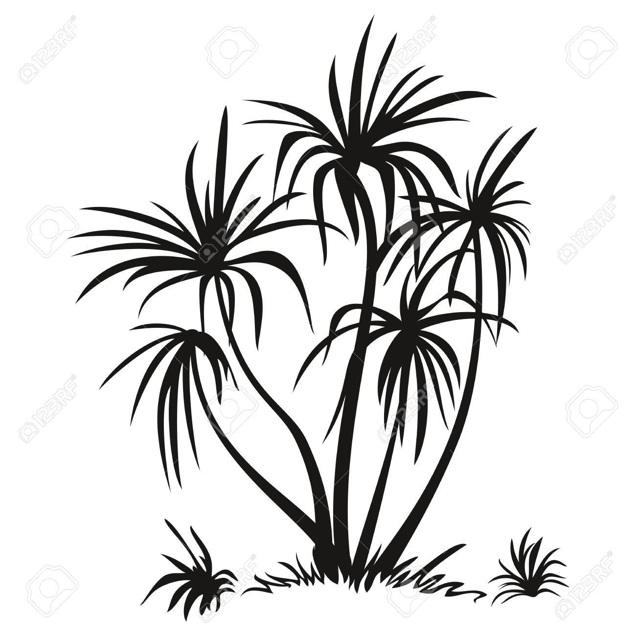 1300x1300 Tropical Palm Trees And Grass, Pictograms, Black Silhouettes