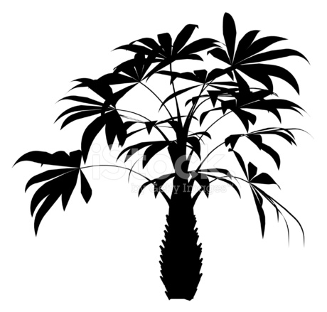 460x439 Tropical Plant Vector Stock Vector