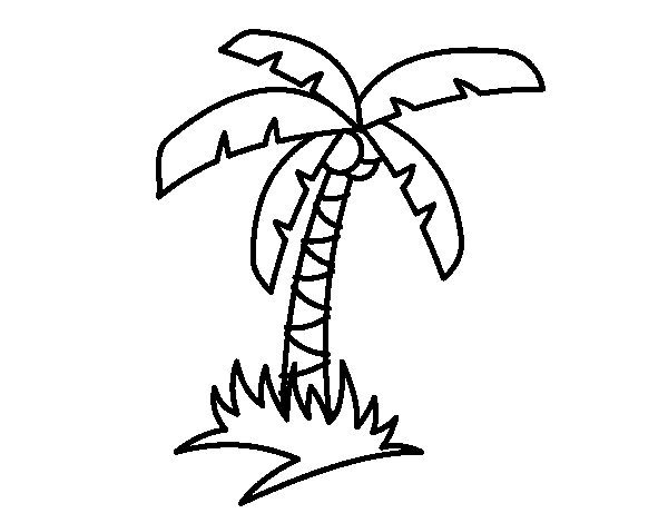 600x470 Tropical Palm Tree Coloring Page