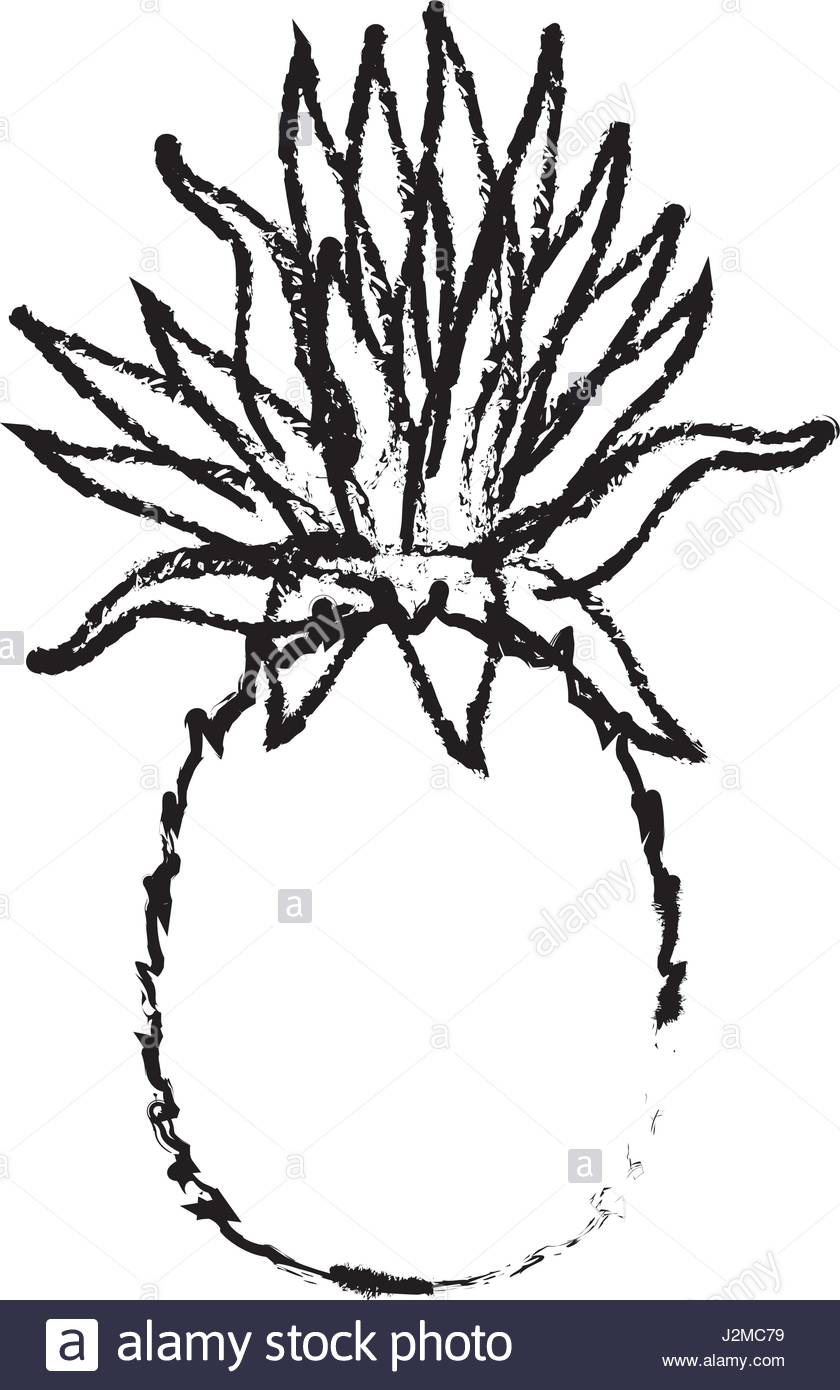 840x1390 Pineapple Tropical Fruit Tasty Sketch Stock Vector Art