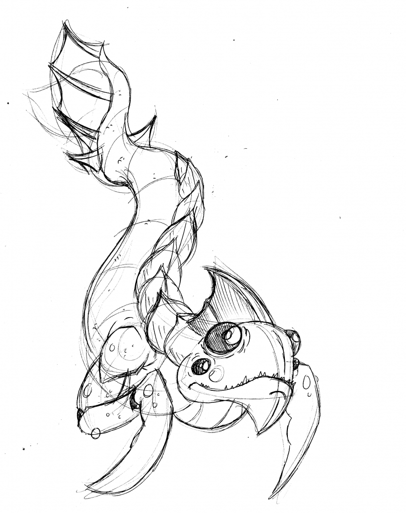 811x1024 Sea Animal Pic For Sketching And Drawing Sea Animals Handdrawn