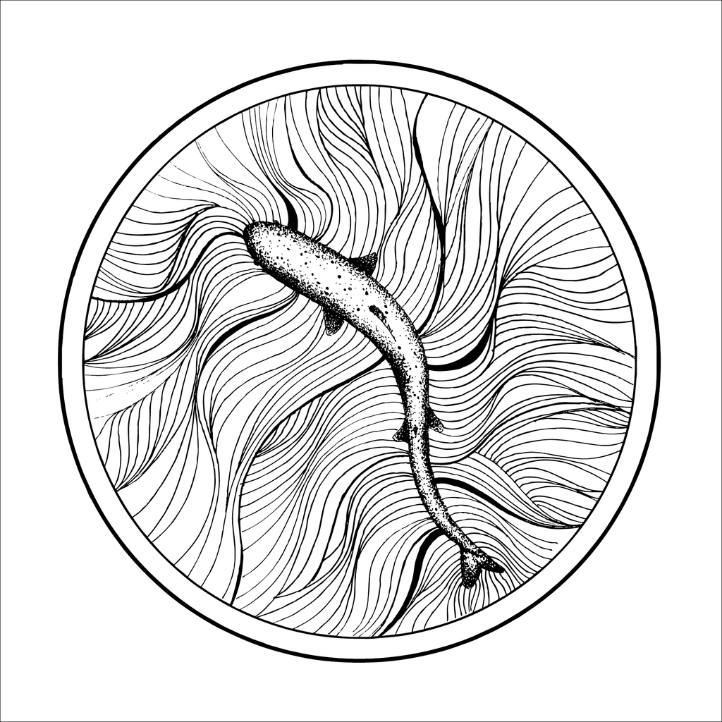 1024x1024 Trout Creek Creature Genius