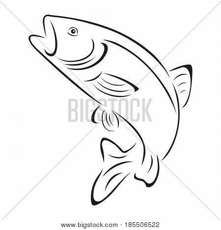 450x470 Trout Images, Illustrations, Vectors